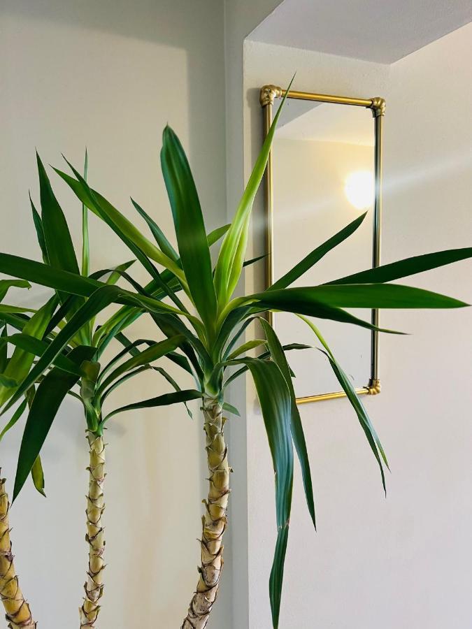 Sport Hotel Al Sole Fiavè Eksteriør bilde